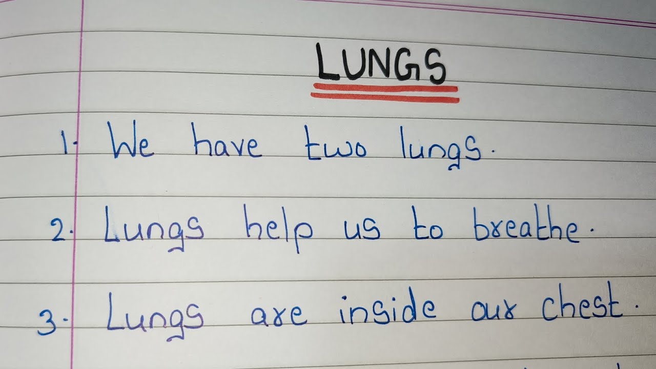 10 Lines on Lungs // Essay on Lungs in e5/ About Lungs