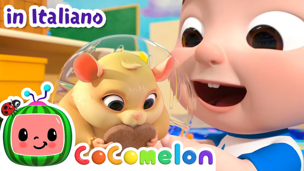 Il Cricetino Della Classe 🐹 | CoComelon Italiano - Canzoni per Bambini