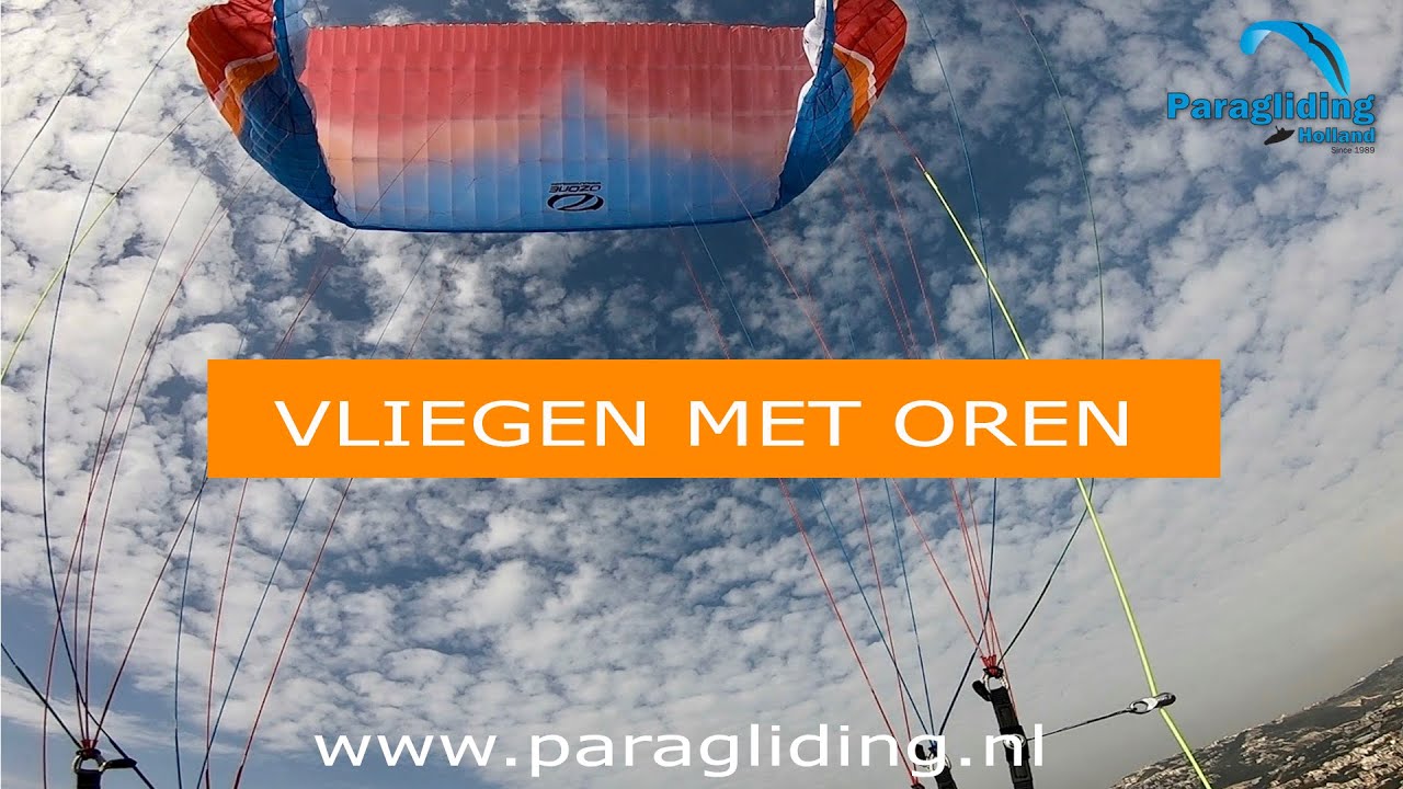 Vliegen met oren