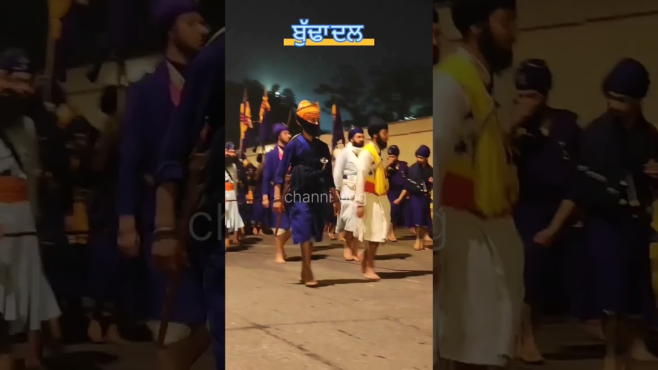 delhi mahalla#trending#dalpanth#youtubeshort#budhadal#khalsa#nihang#newvideo#96croori#sikh