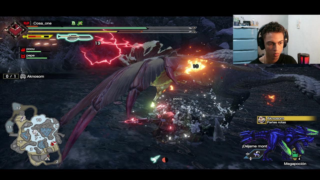 Monster hunter rise