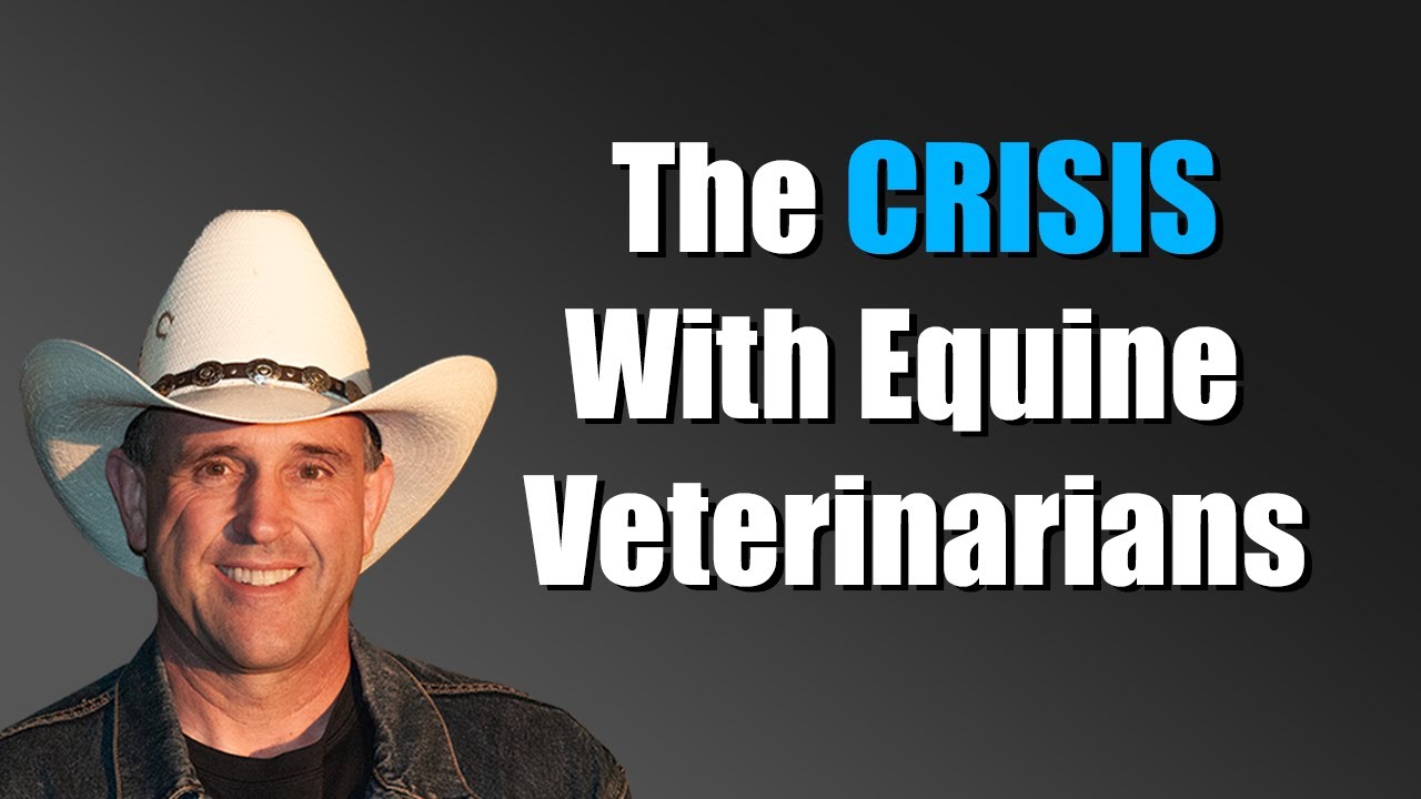 Why Are Horse Vets Becoming Harder To Find? By Geoff Tucker, DVM.