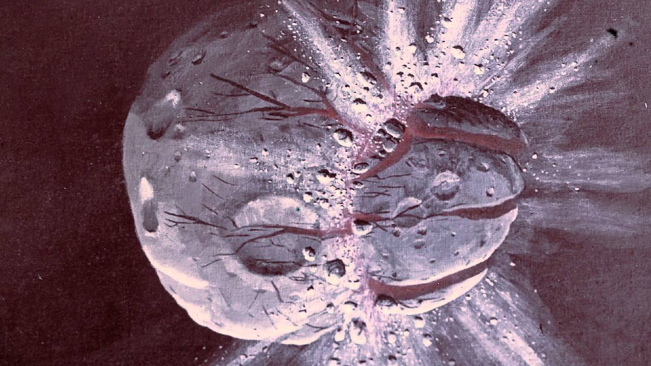 Electric Universe: A Collision-Free Zone | Space News