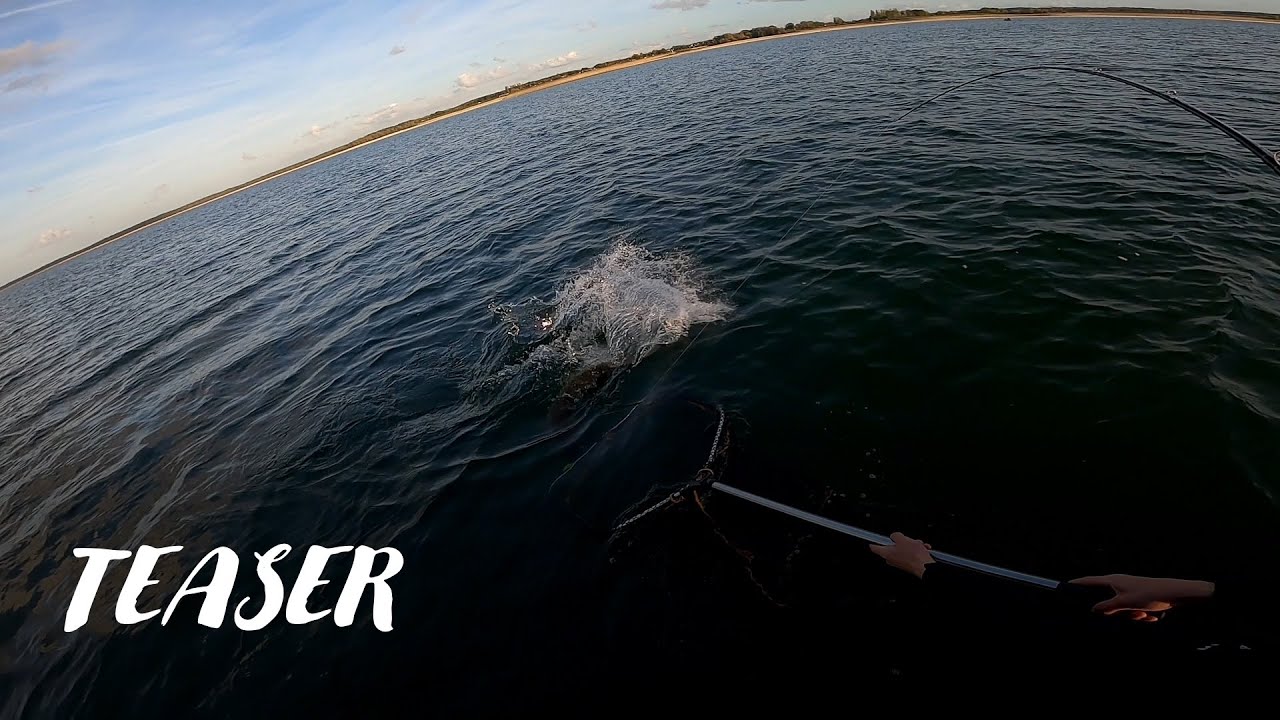OBJECTIF BROCHET RECORD EPISODE 6 : TEASER