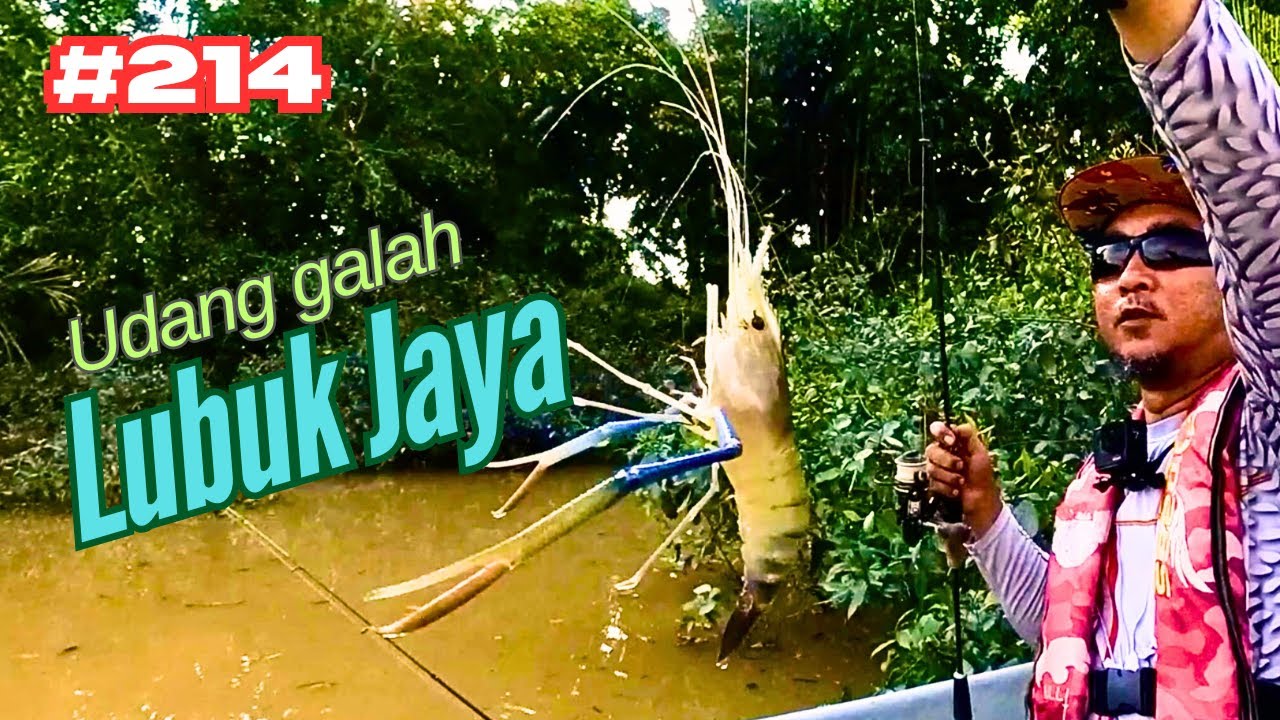 Panduan Memancing Udang Galah