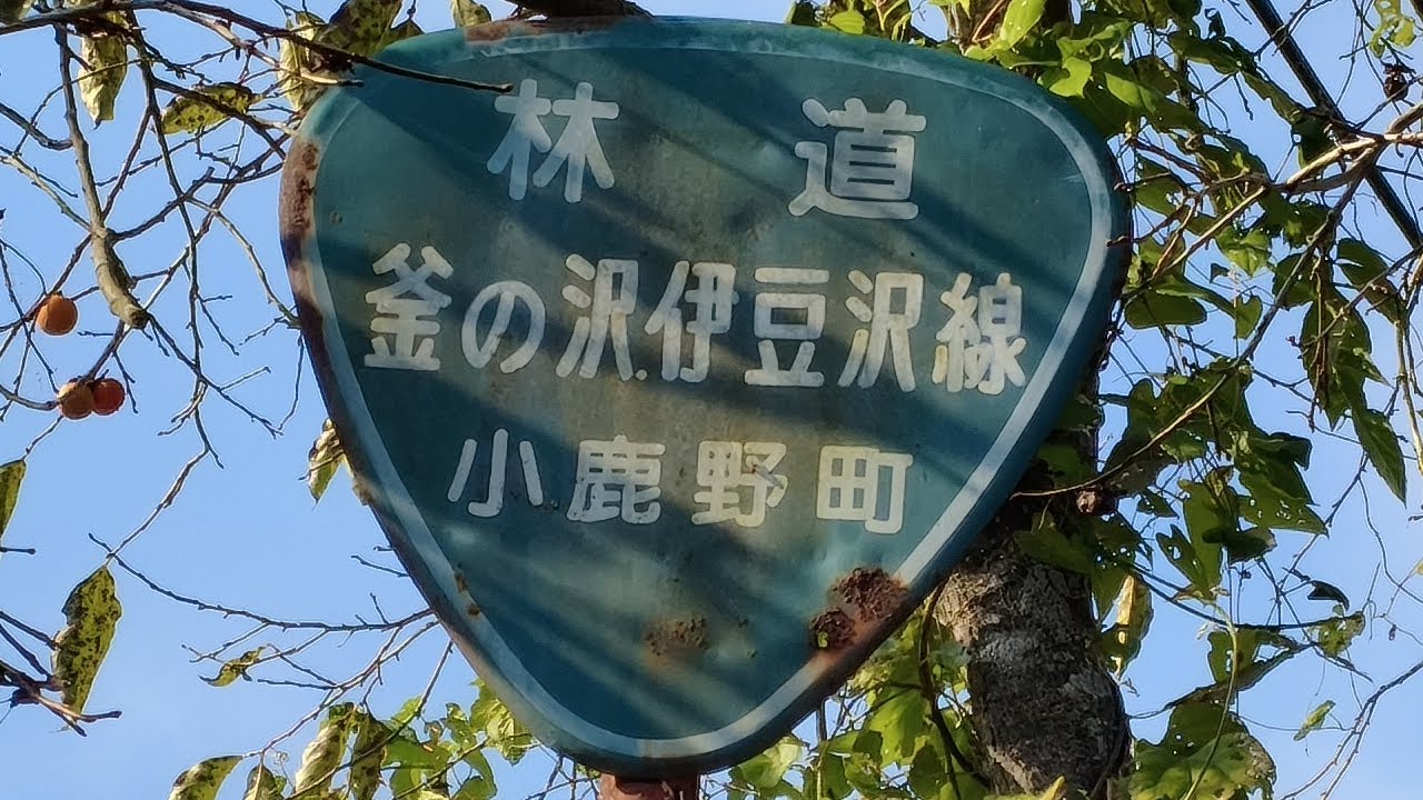 [小鹿野町]林道　釜の沢伊豆沢線(釜の沢線)～釜の沢線[埼玉県]