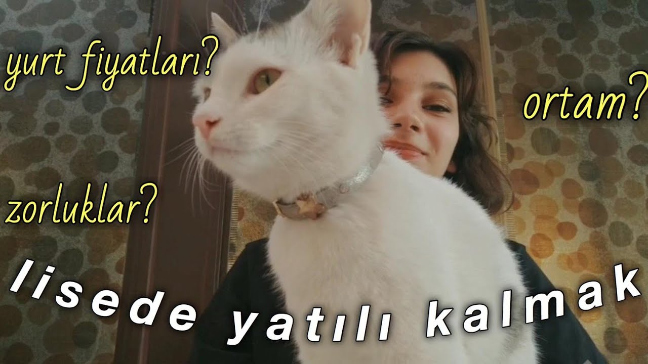 LİSEDE YURTTA KALMAK | ARKADAŞ ORTAMI | YURT FİYATLARI | ÖZGÜVEN | TÜM ZORLUKLAR