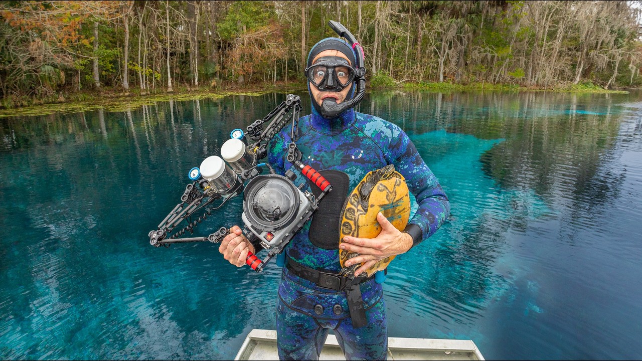 Snorkeling With Turtle Scientists in Florida's Clearest Spring