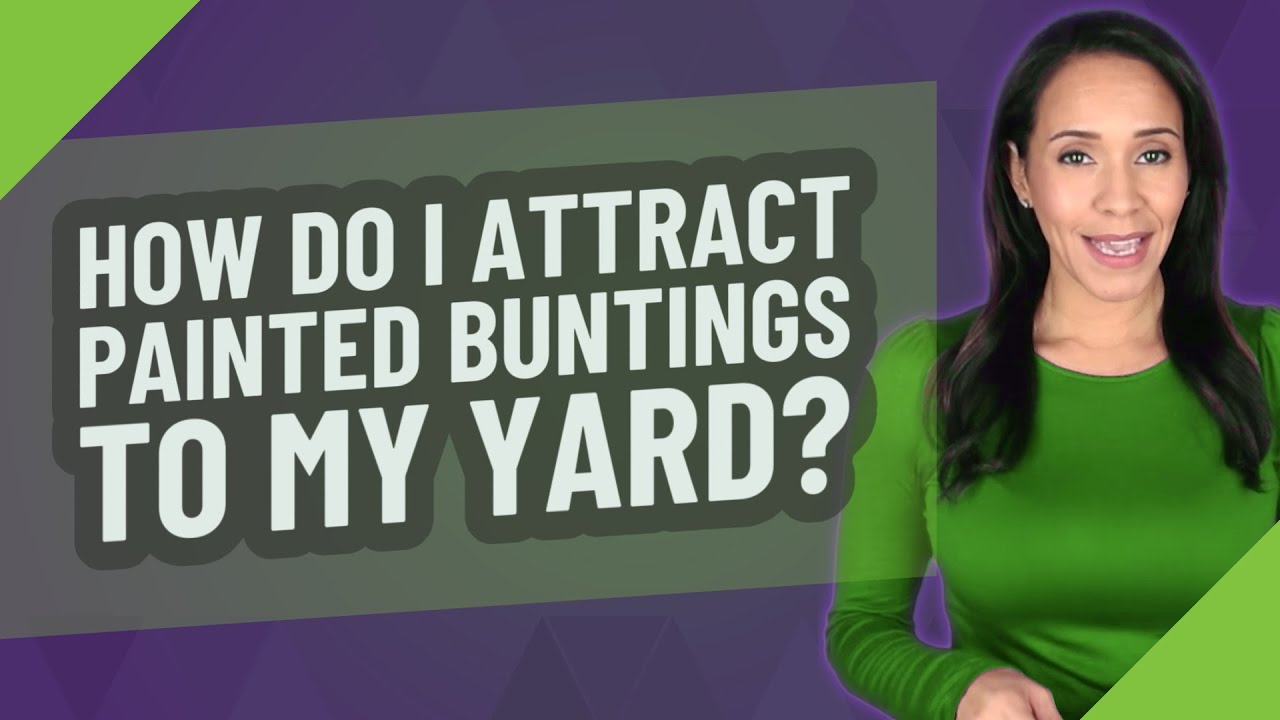 How do I attract painted buntings to my yard?
