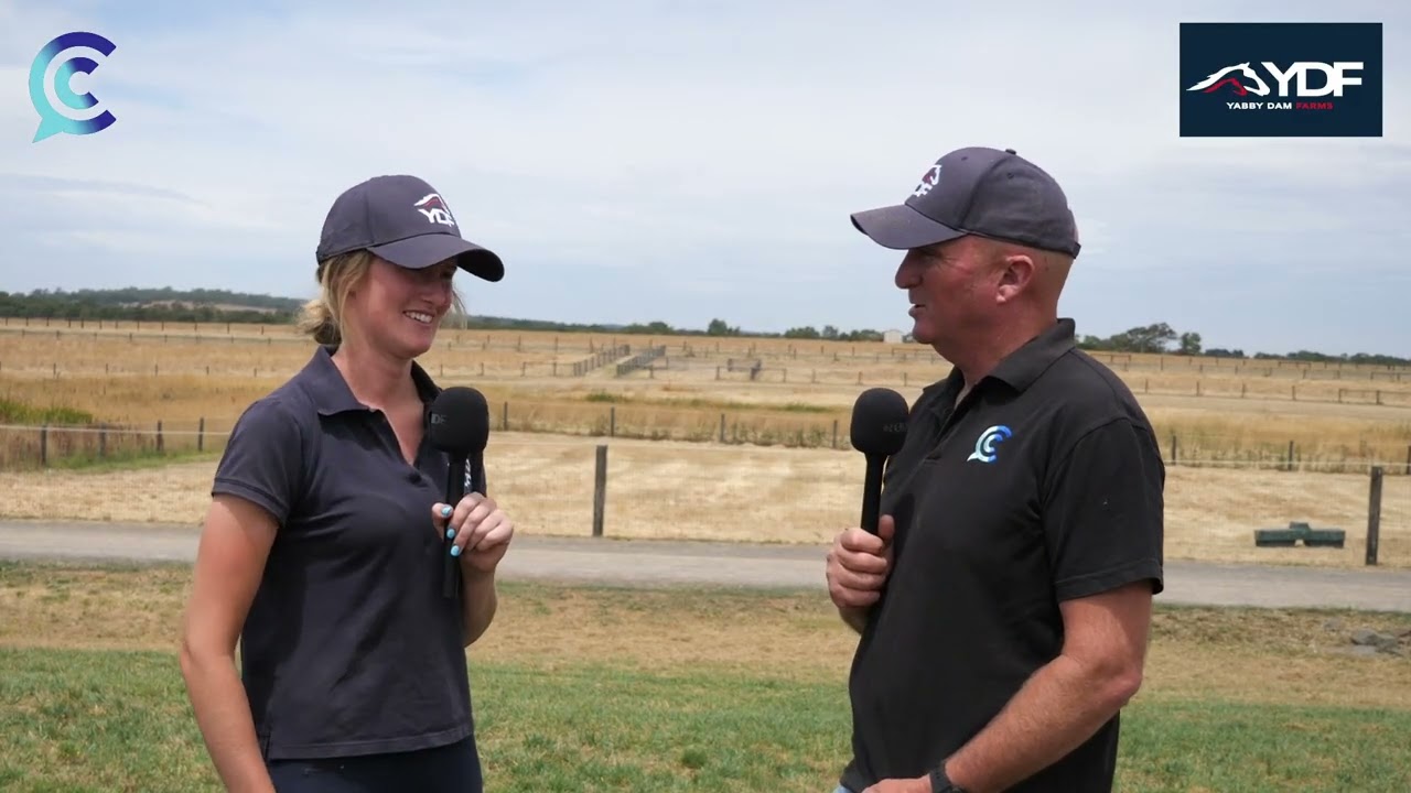 CC with Stacey Barker and Yabby Dam Farms, Sunshine Stars yearlings.