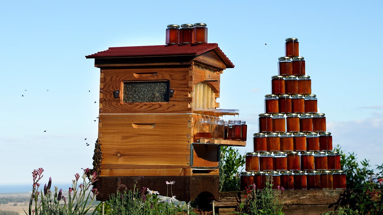 Flow™ Hive Back on Indiegogo