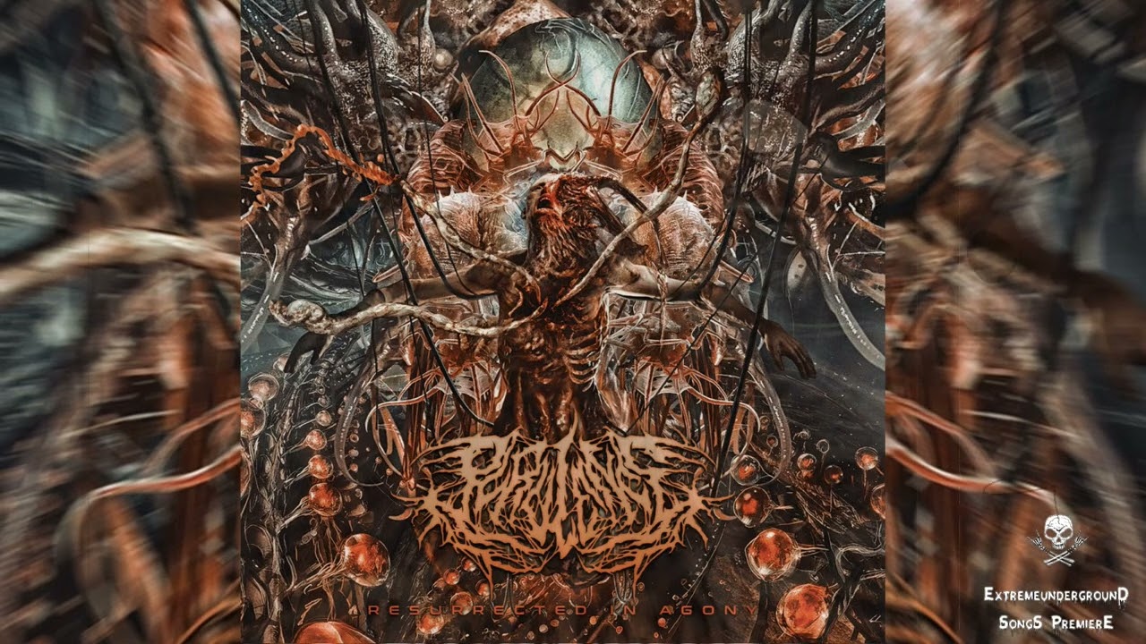 ➤ PURULENCE - Submerged In Ectoplasm-☠(𝐓𝐑𝐀𝐂𝐊 𝐏𝐑𝐄𝐌𝐈𝐄𝐑𝐄 𝟮𝟬𝟮𝟲)☠ @purulenceofficial
