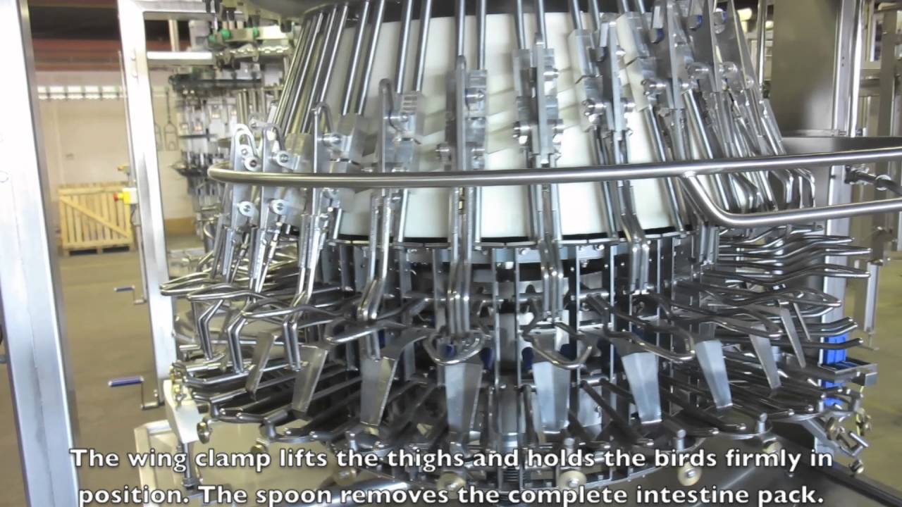 Use Poultry Tech Automatic Evisceration Line 4000 - 6000 birds per hour