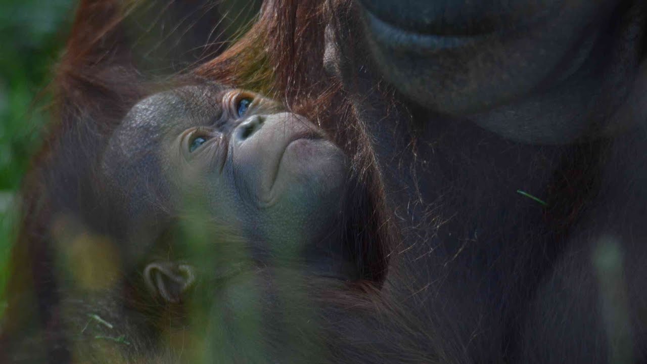 Ruti's baby has finally been given a name!