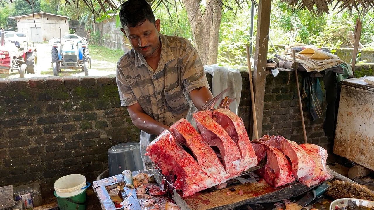 Wow! Biggest Calta Fish Cutting Skills Best Fish Market In Village| Excellent Fish Cutting Sri Lanka