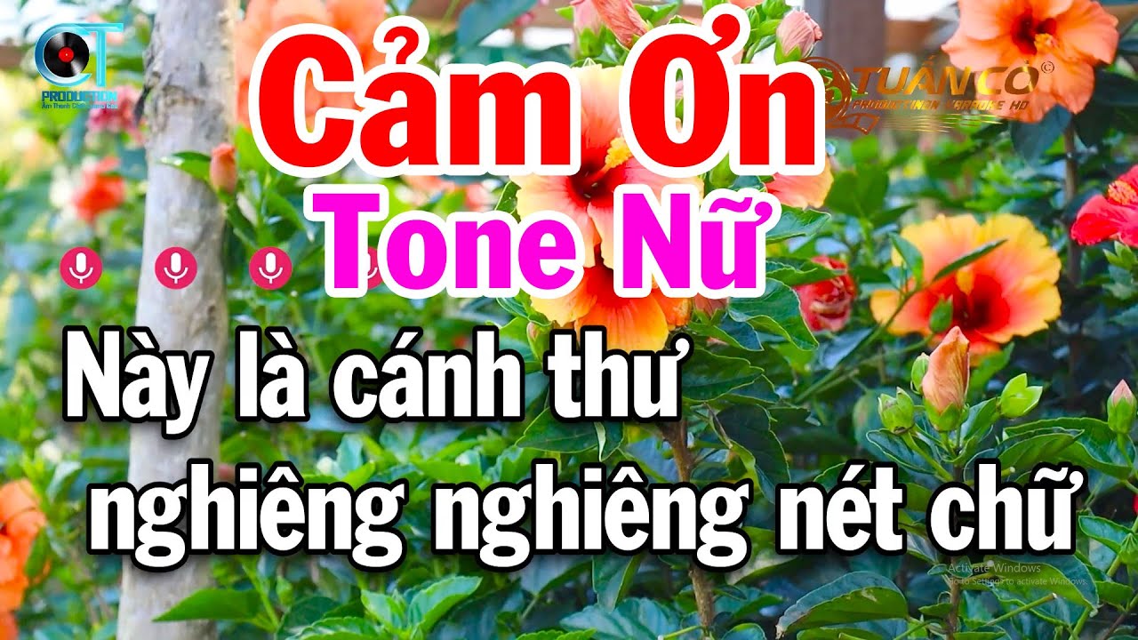 Karaoke Cảm Ơn Tone Nữ Beat Hay Nhạc Dễ Hát 2026 Tuấn Cò