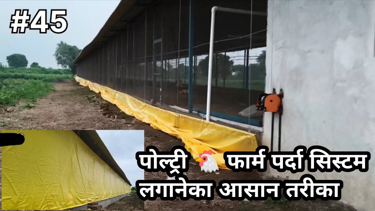 Poultry Farm Ka Parda Sistam lag gya & Poltry 🐔 Farm said visit review  #poultryfarming #poultryfarm