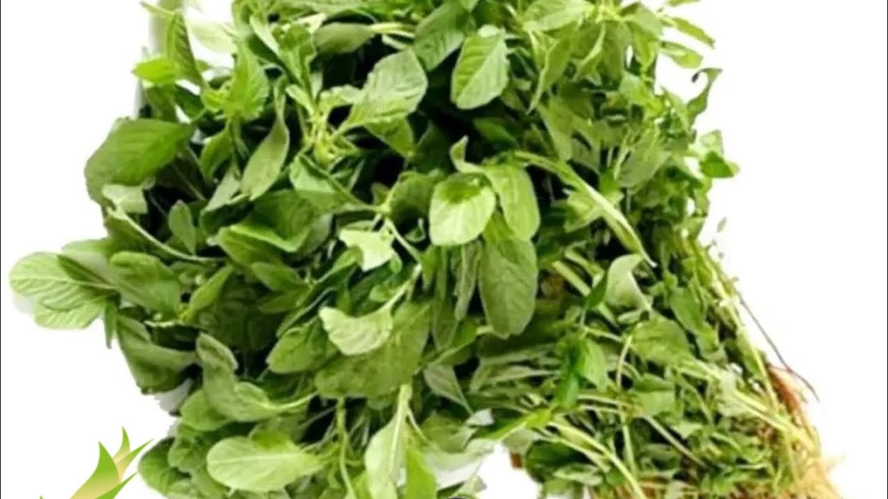 அரைக்கீரை கடைசல் இப்படி செய்து பாருங்கள்☘️#food #keerai #healthyfood #easyrecipe