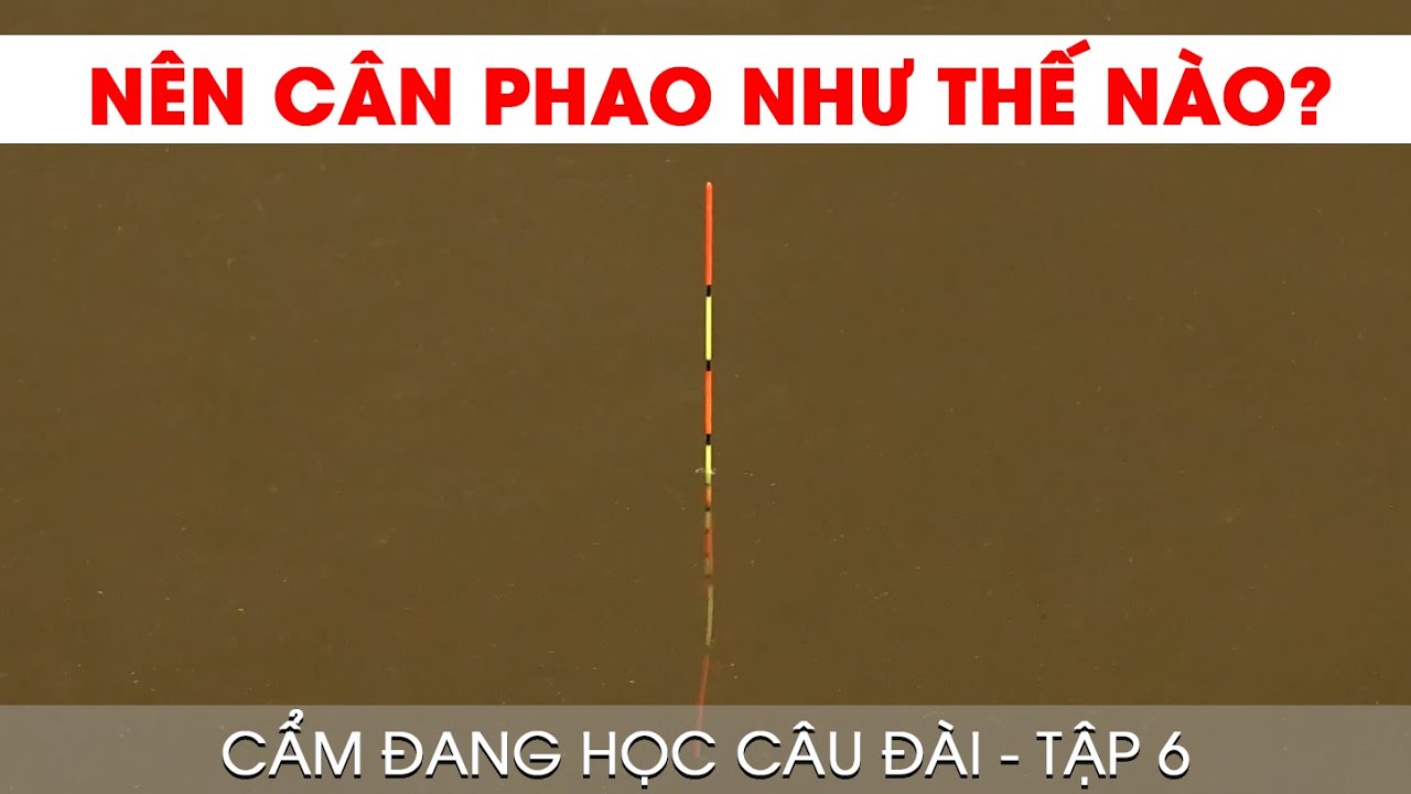 Nên cân phao như thế nào? Tập 6 - Cẩm Đang Học Câu Đài