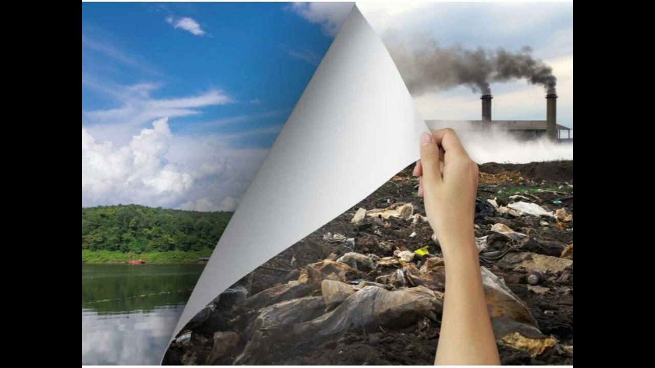 פודקאסט בנושא השפעת זיהום הסביבה על איכות החיים- שירי אהרון כיתה יב