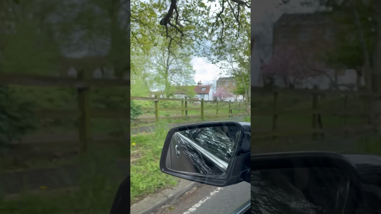 Going to see our friends | London Chigwell area| beautiful nature #shortsyoutube #london #shortsfeed