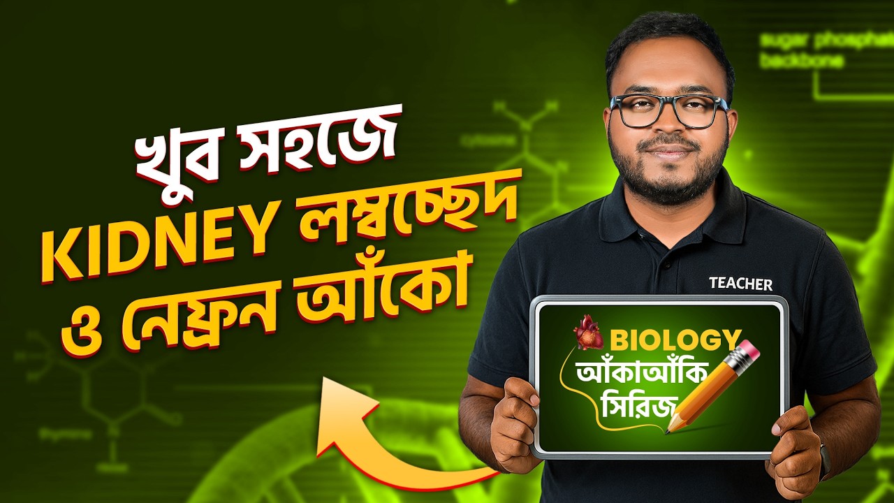 HSC Biology 2nd Paper বর্জ্য ও নিষ্কাশন | খুব সহজে বৃক্কের লম্বচ্ছেদ ও নেফ্রন আঁকা শিখো!