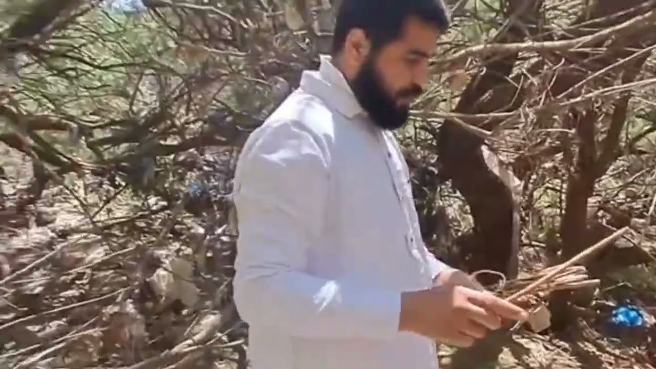 شاهد ما وجدوا في مقبرة عين يوسف تلمسان أثناء تنظيفها