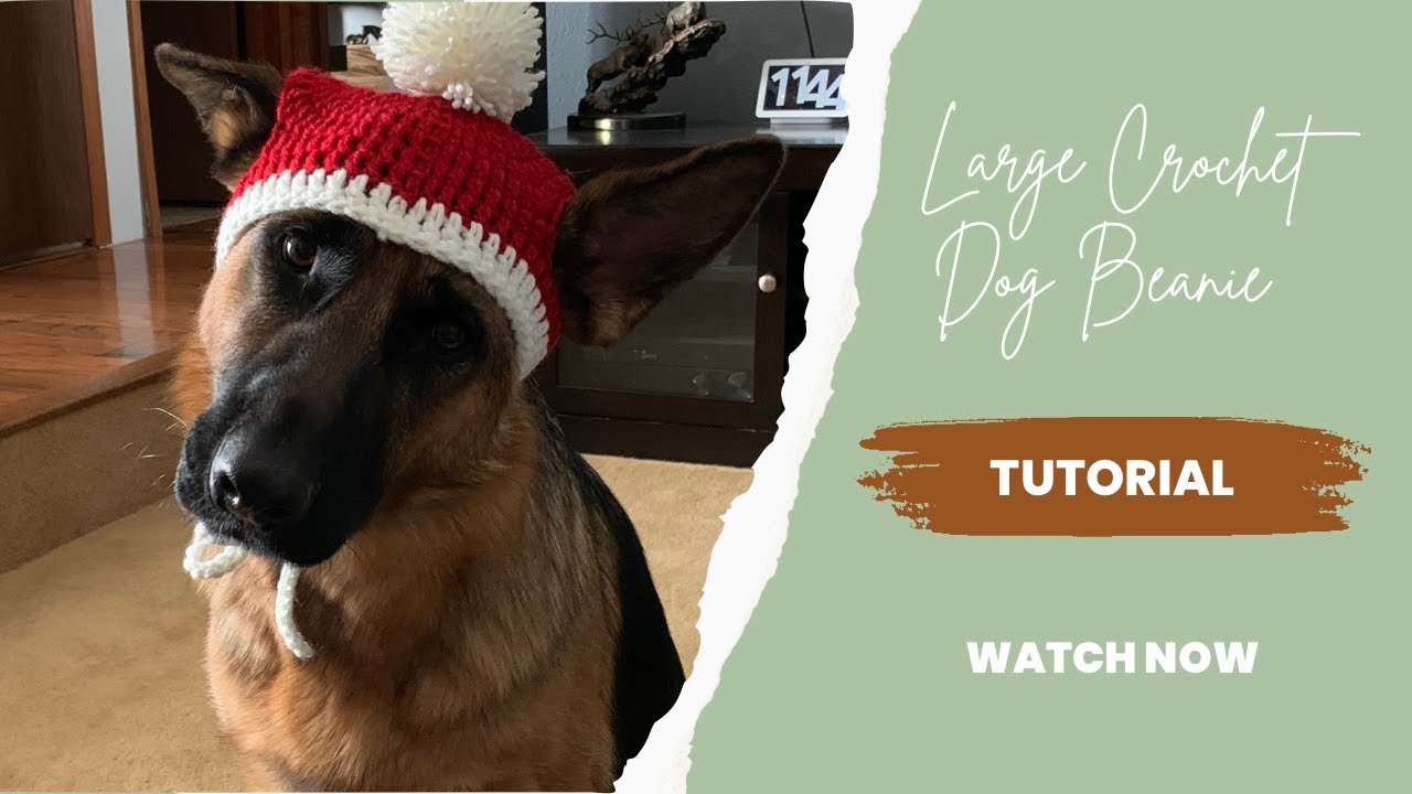 Large Crochet Dog Beanie Easy and Beginner Friendly Crochet Tutorial