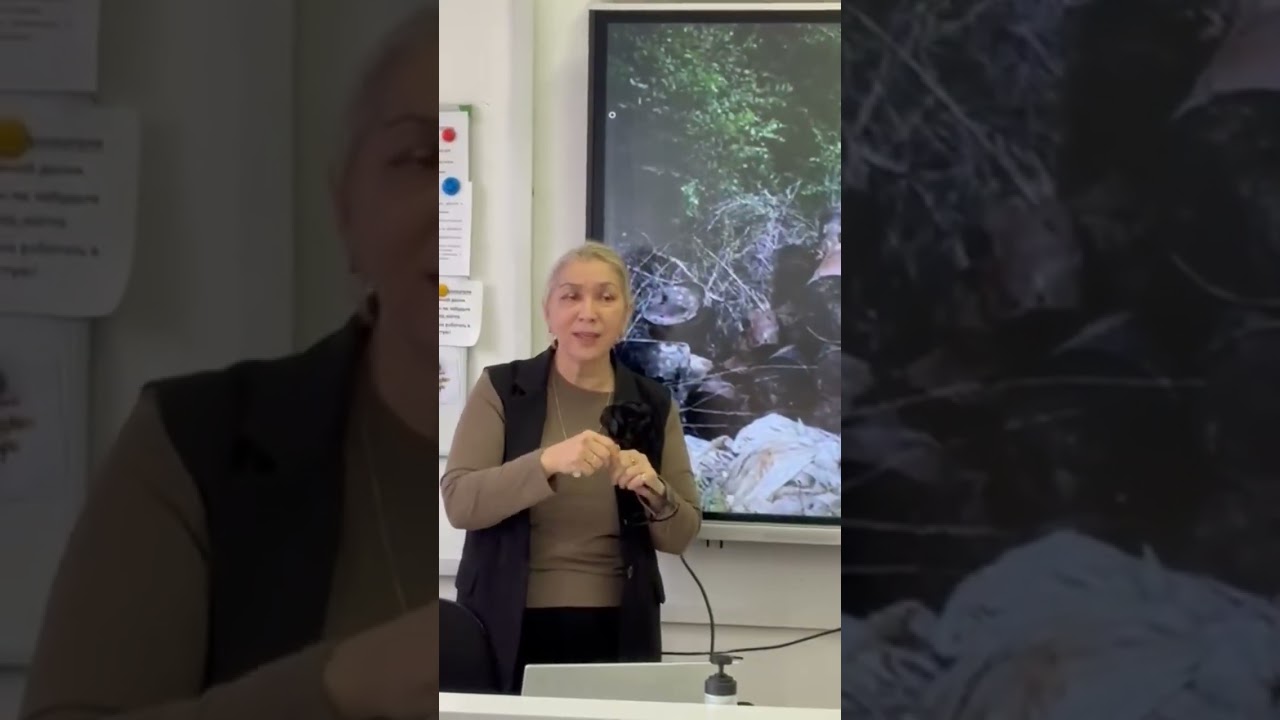 Загрязнение окружающей среды тяжёлыми металлами. 11 класс химия. Эрметова Эльмира Кочкаровна