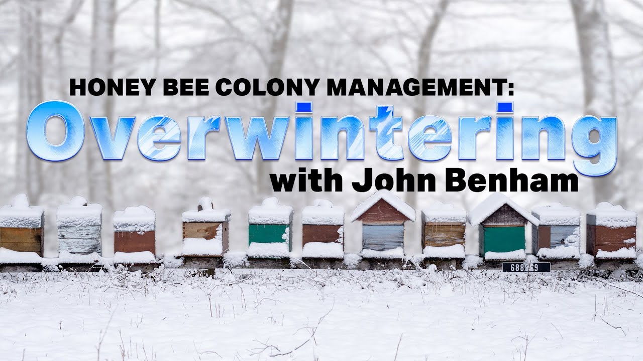 Overwintering Bee Hives – Class with Certified Master Beekeeper John Benham