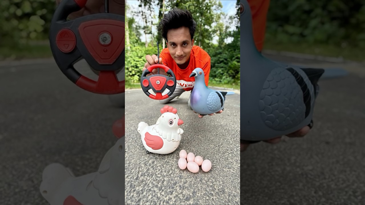 Rc Egg wla Birds and Remote Control Murgi Dekso