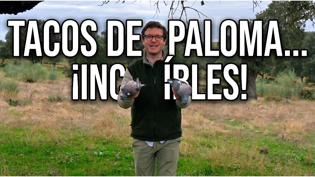 Tacos de paloma torcaz cazada con cimbel