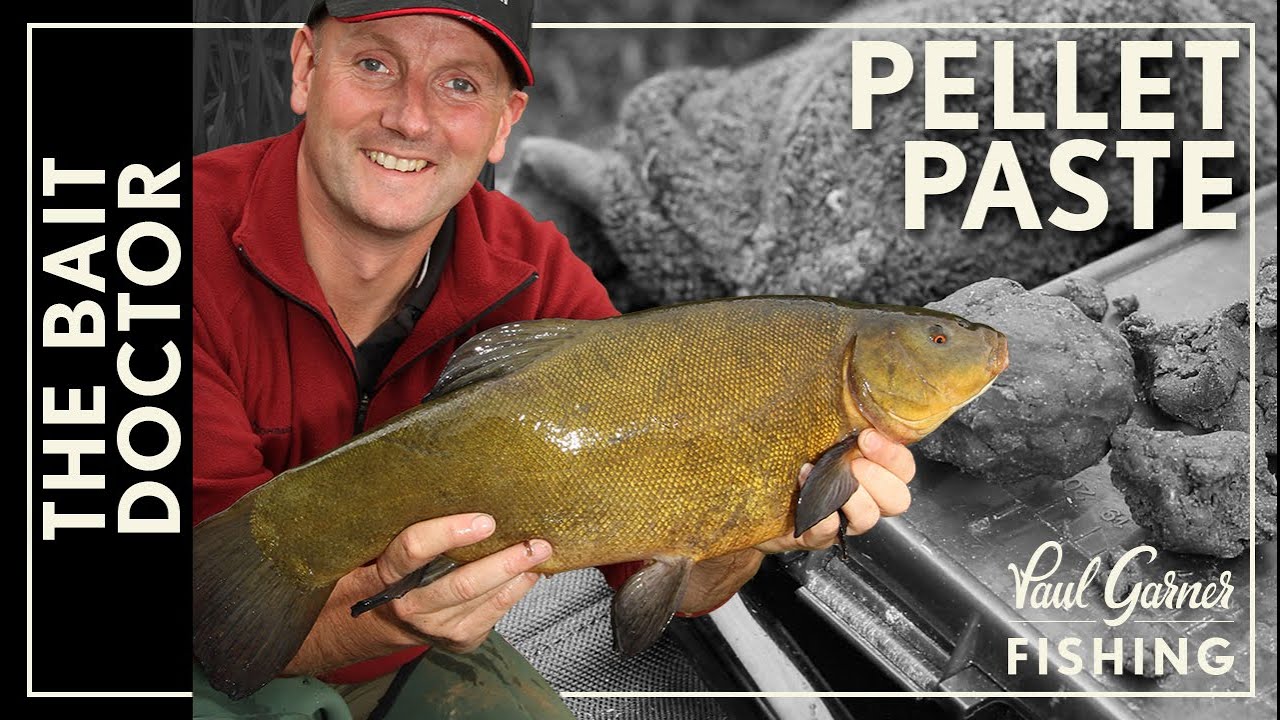 Simple Pellet Paste Bait: Great for Carp, Tench & Bream Fishing (2020)