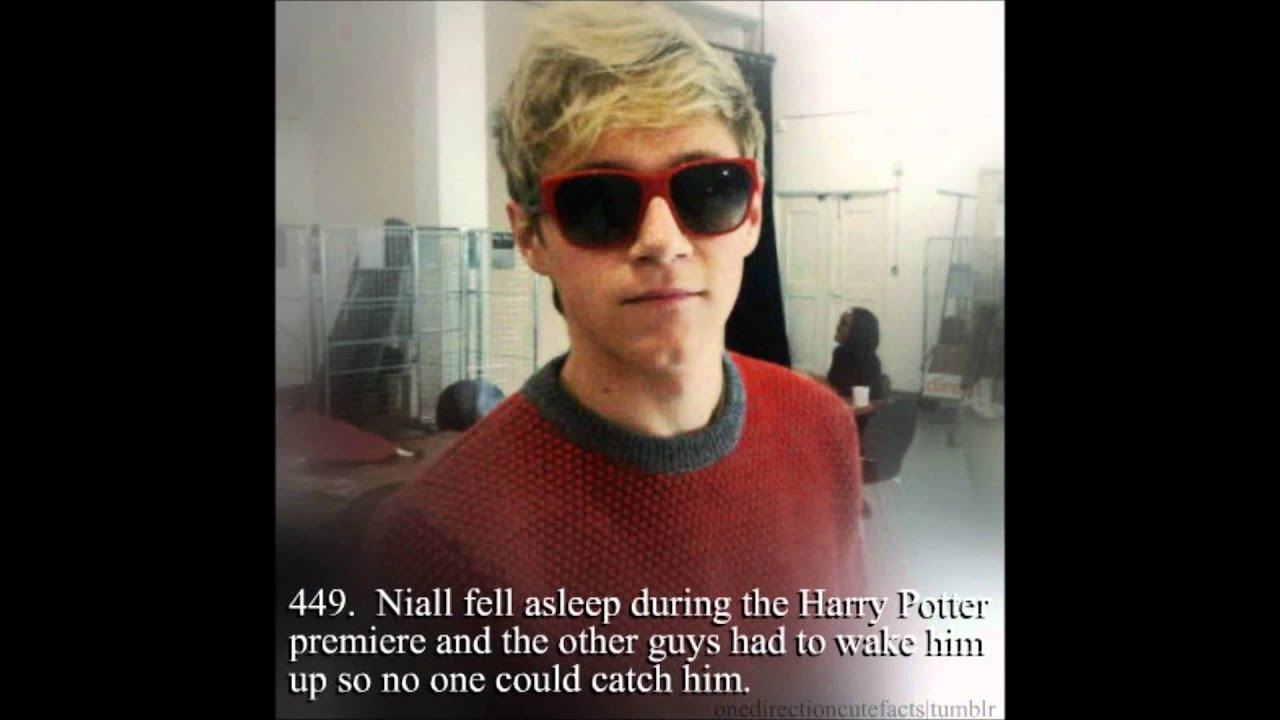 One direction facts 2