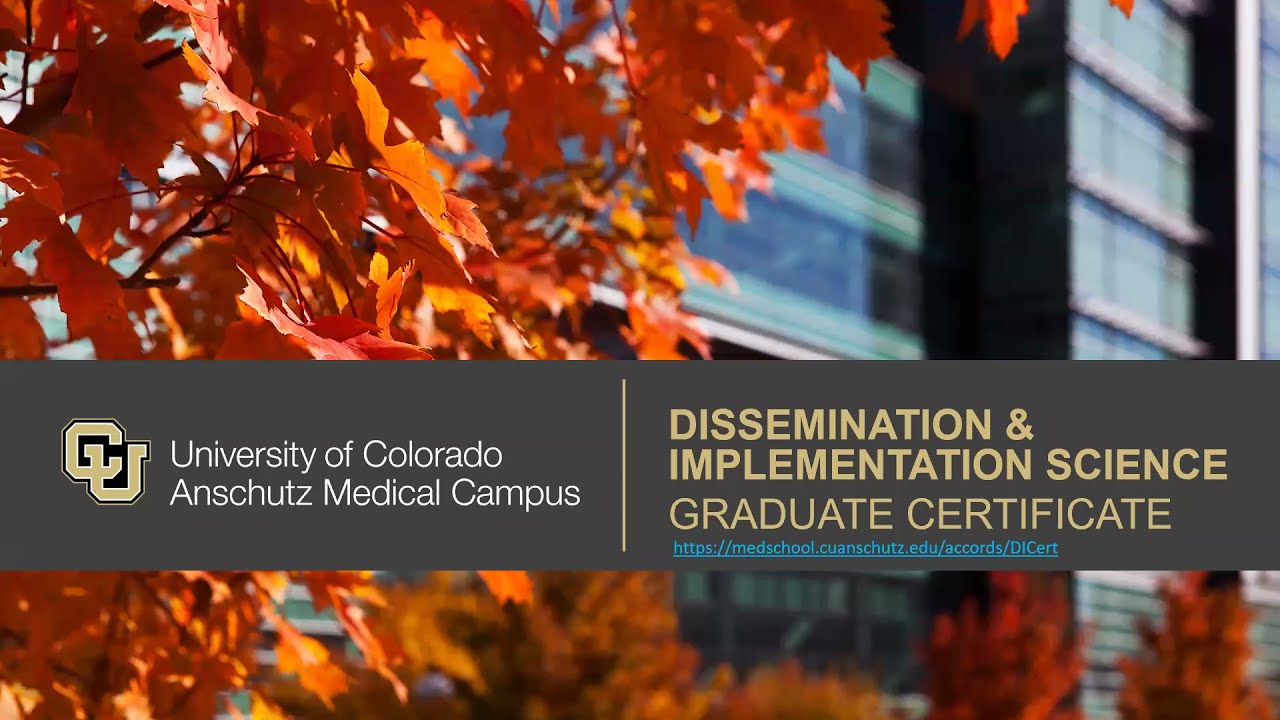 2022 D&I Informational Webinar - Christina (Tina) Studts, PhD, MSPH, LCSW