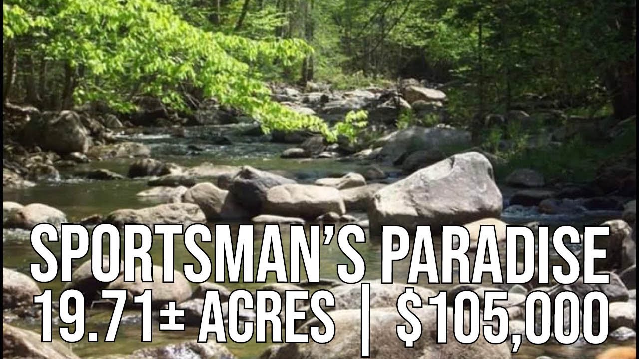 Recreational Brook Front Acres | Maine Real Estate