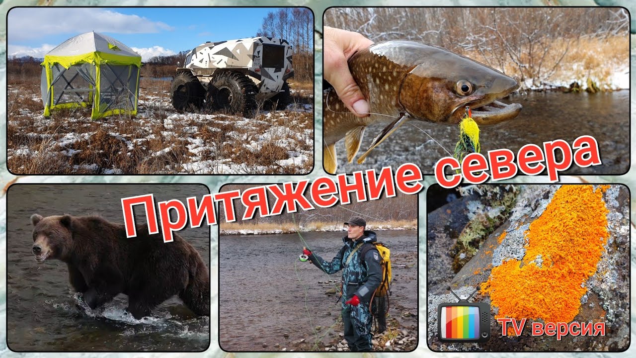 Притяжение севера. TV-версия.