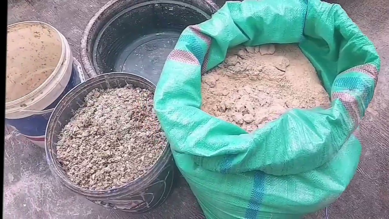 INI DIA‼️ cara fermentasi kepala teri