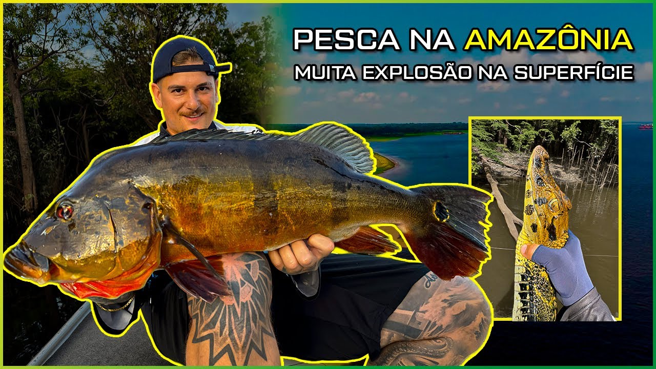 PESCA NA AMAZÔNIA! Tucunaré GIGANTE e Pirararas 🌳🎣