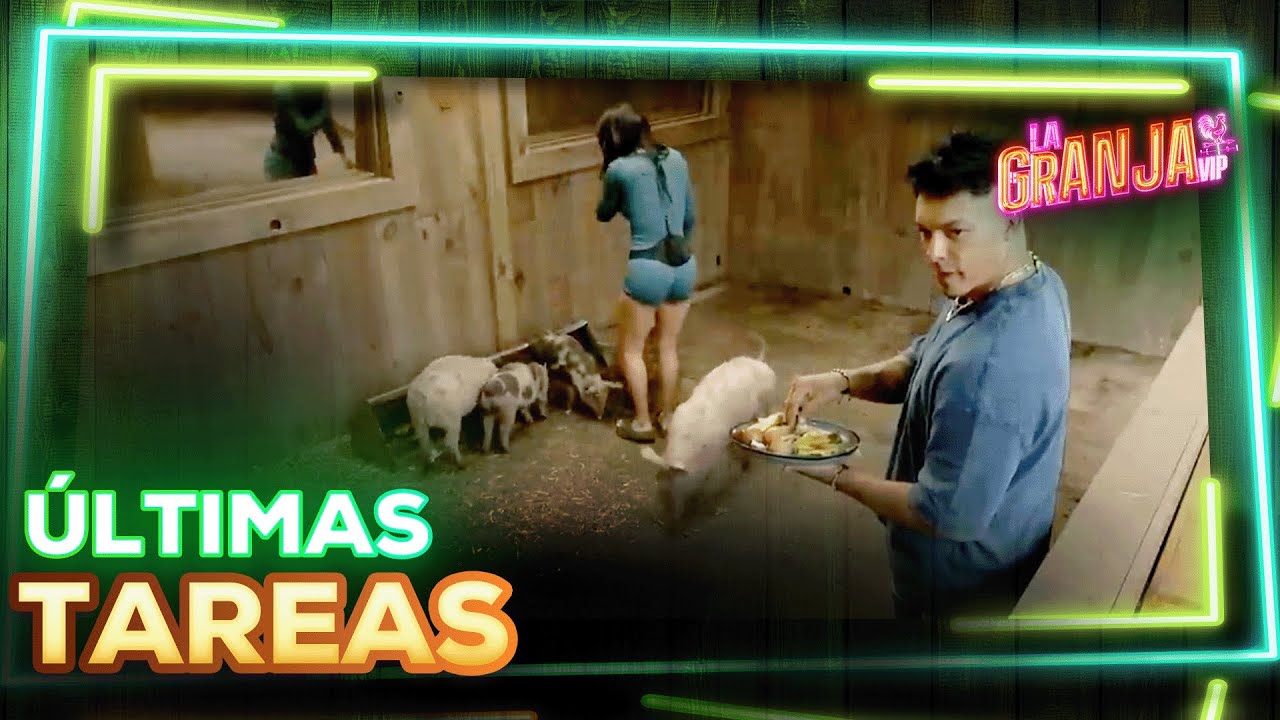 Así cierran el día con las últimas tareas con Jawy Méndez y Kim Shantal