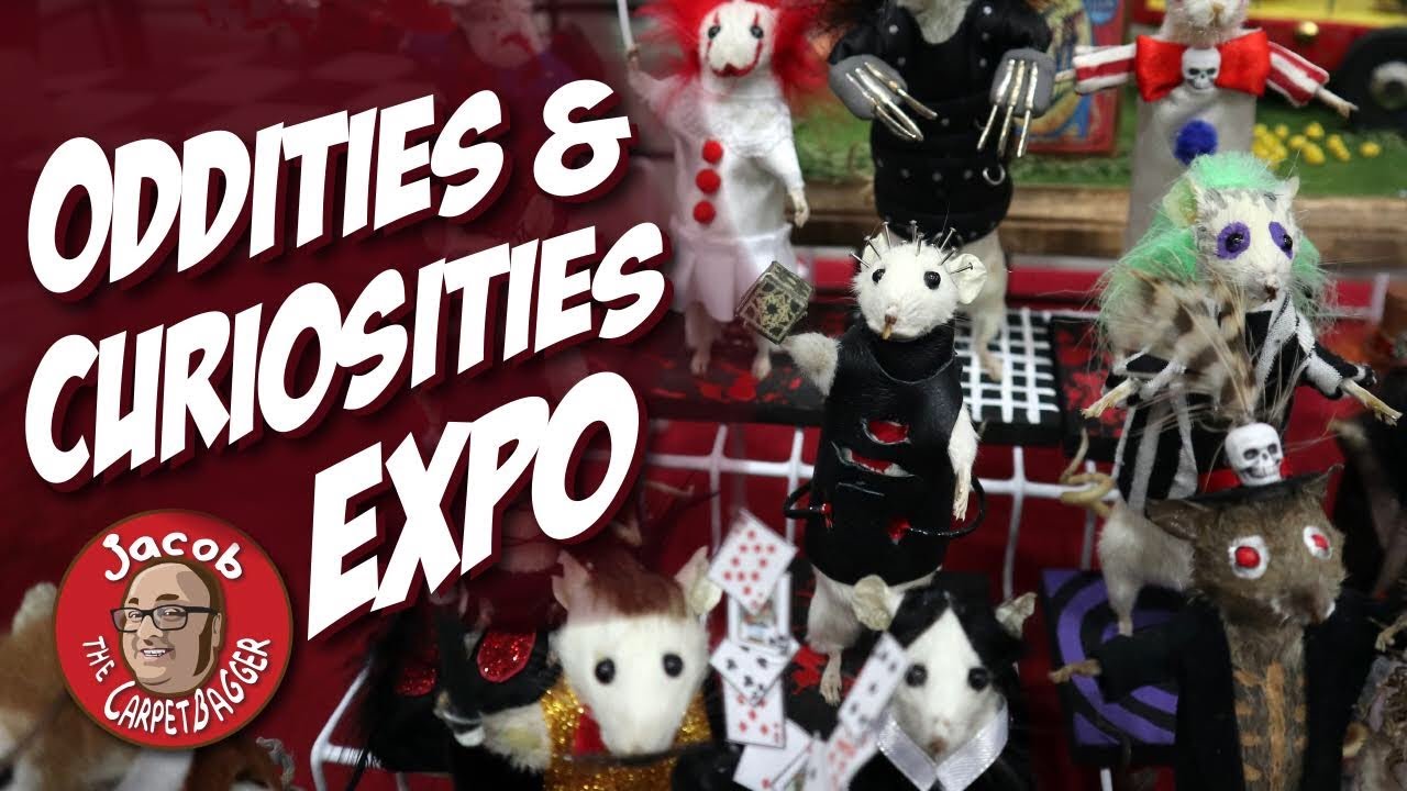 Charlotte Oddities and Curiosities Expo