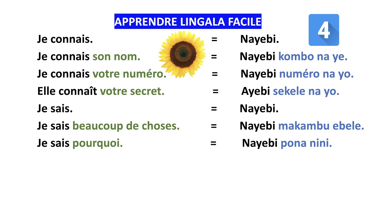 Lingala facile &agrave; apprendre dans des phrases simples, LINGALA langue de KINSHASA/R.D CONGO, fran&ccedil;ais.