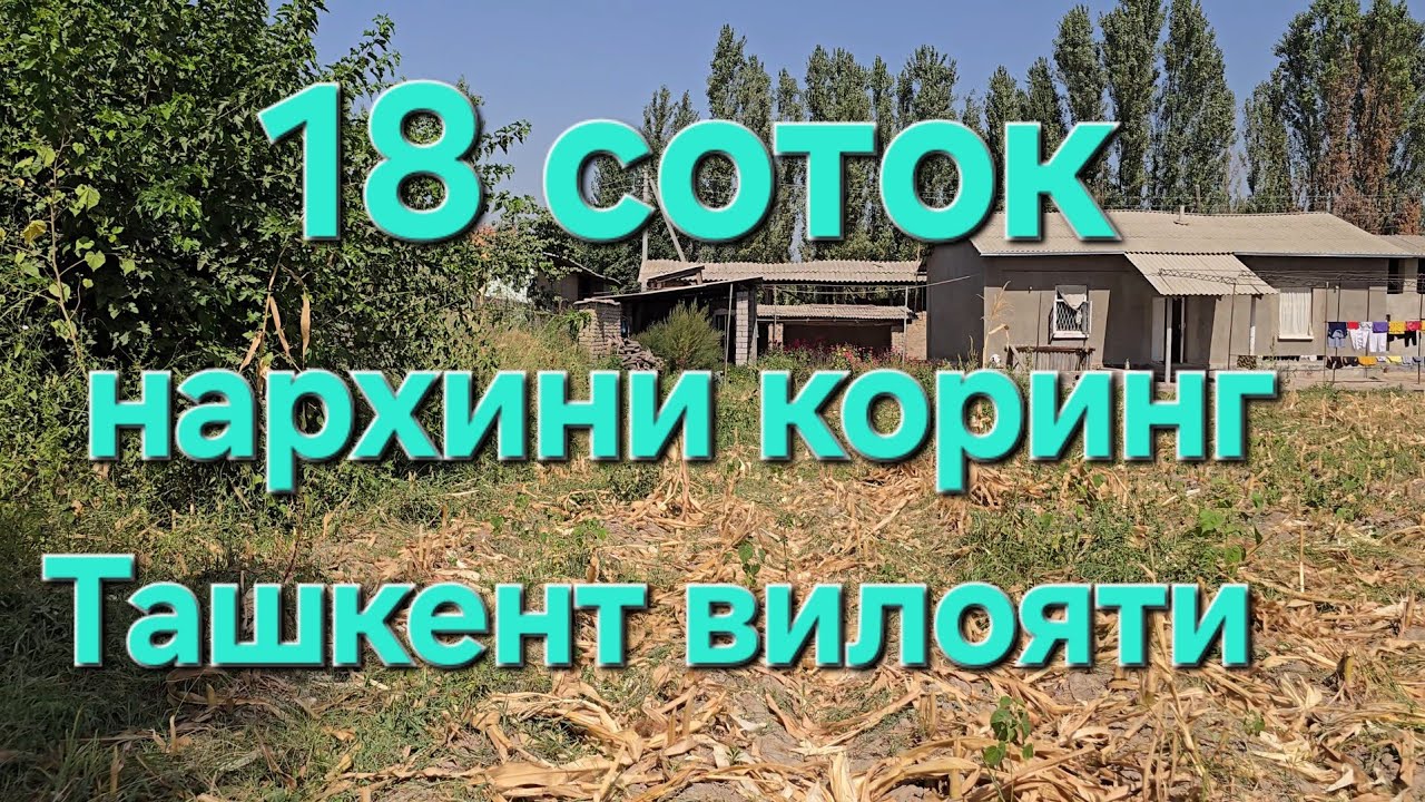 Уй сотилади Тошкент вилояти Куйичирчик 18 соток 