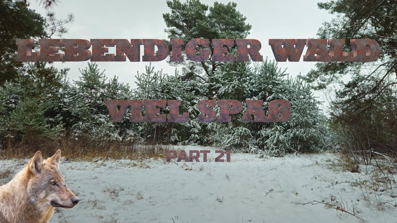 Wildlife Trail Camera Videos / Wildkamera  Aufnahmen  Part 21 01/26