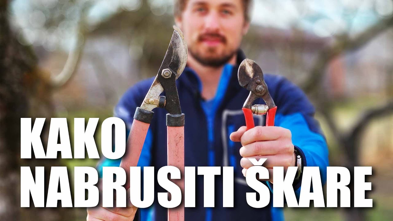 Ovako Nao&scaron;tri Voćarske &Scaron;kare Za Savr&scaron;en Rez | Brzo i Lako