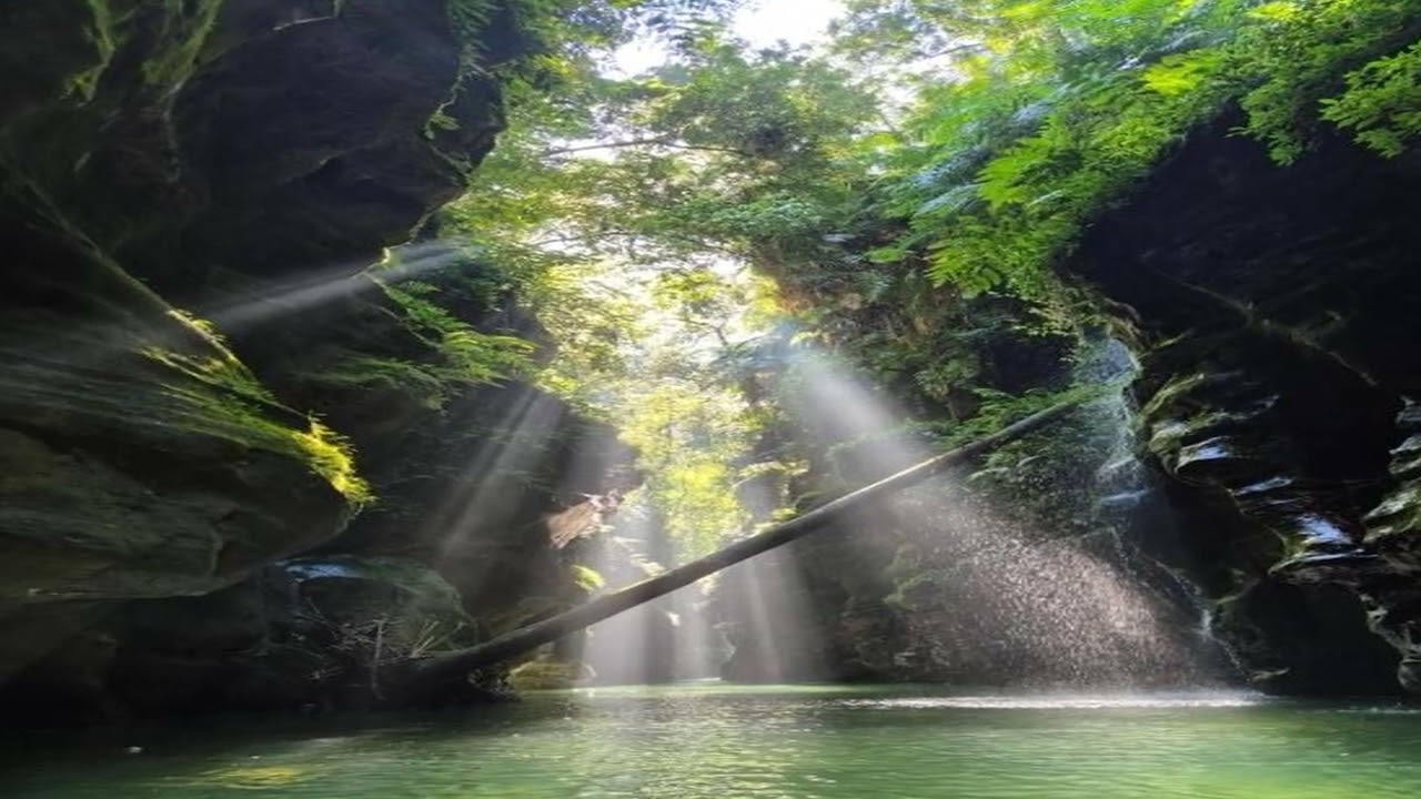 Meghalaya: Your 7-Day Ultimate Itinerary for Waterfalls & Cozy Stays