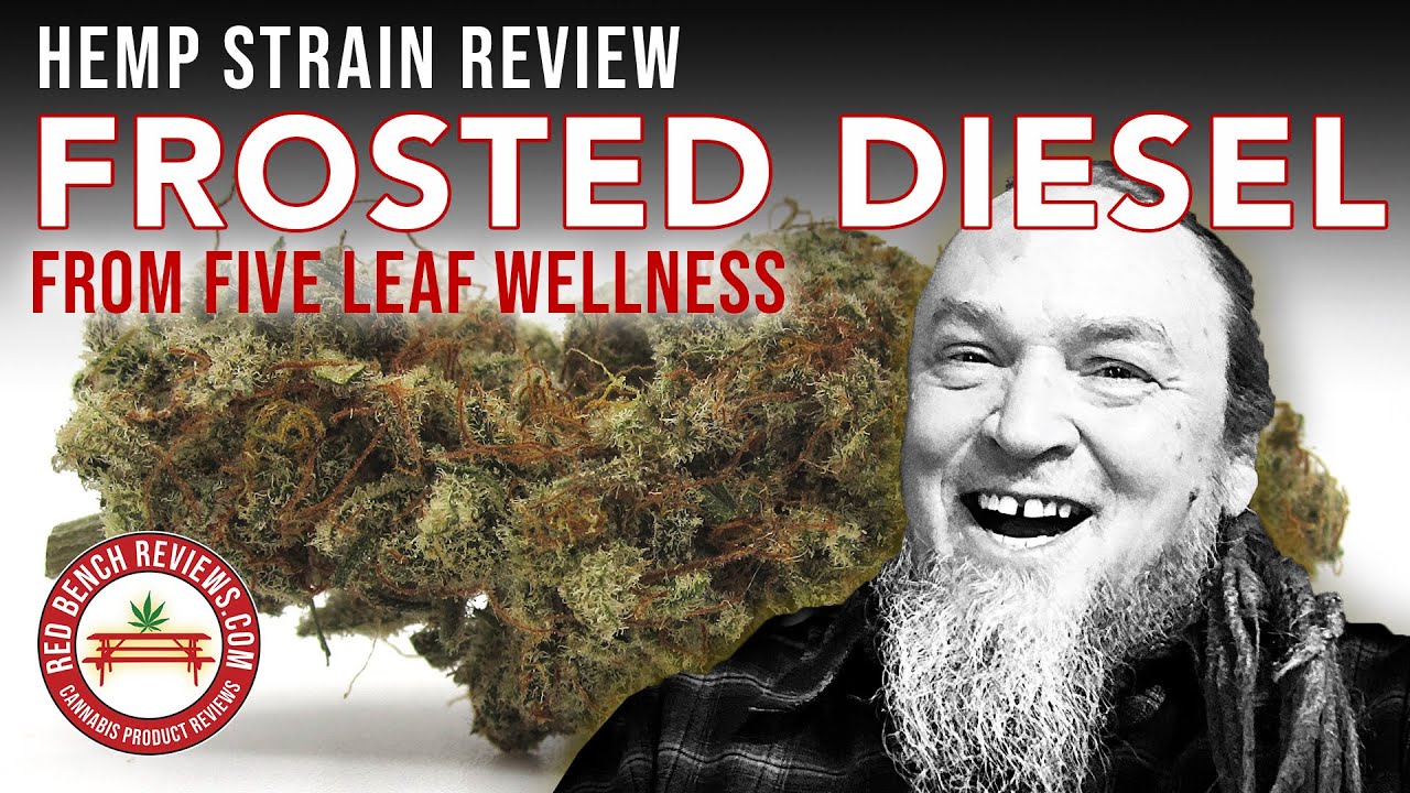 Five Leaf Wellness | Frosted Diesel Strain Review | 20.5% CBD