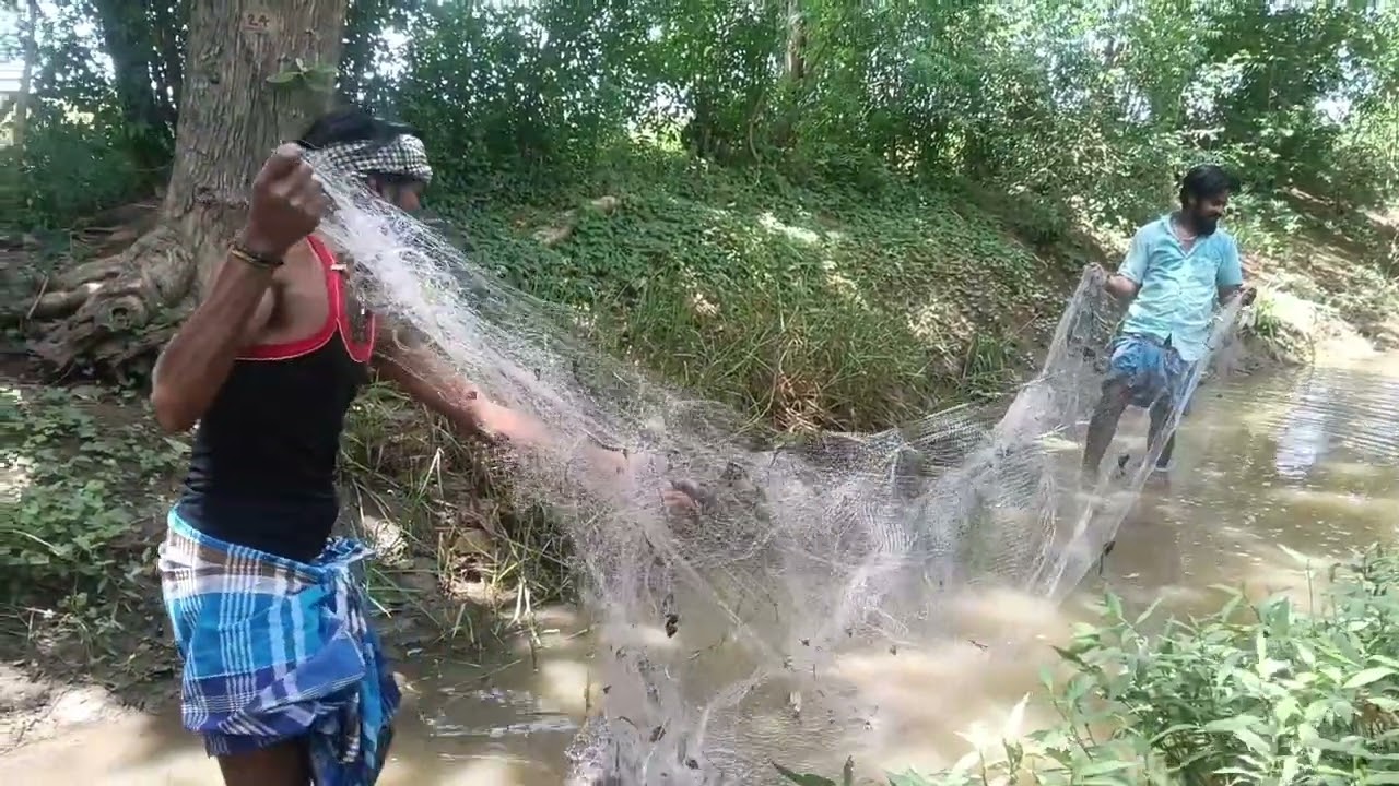 Village river# river fishing #வாய்க்காலில் மீன் பிடிப்பது எப்படி# natural #trending# viral