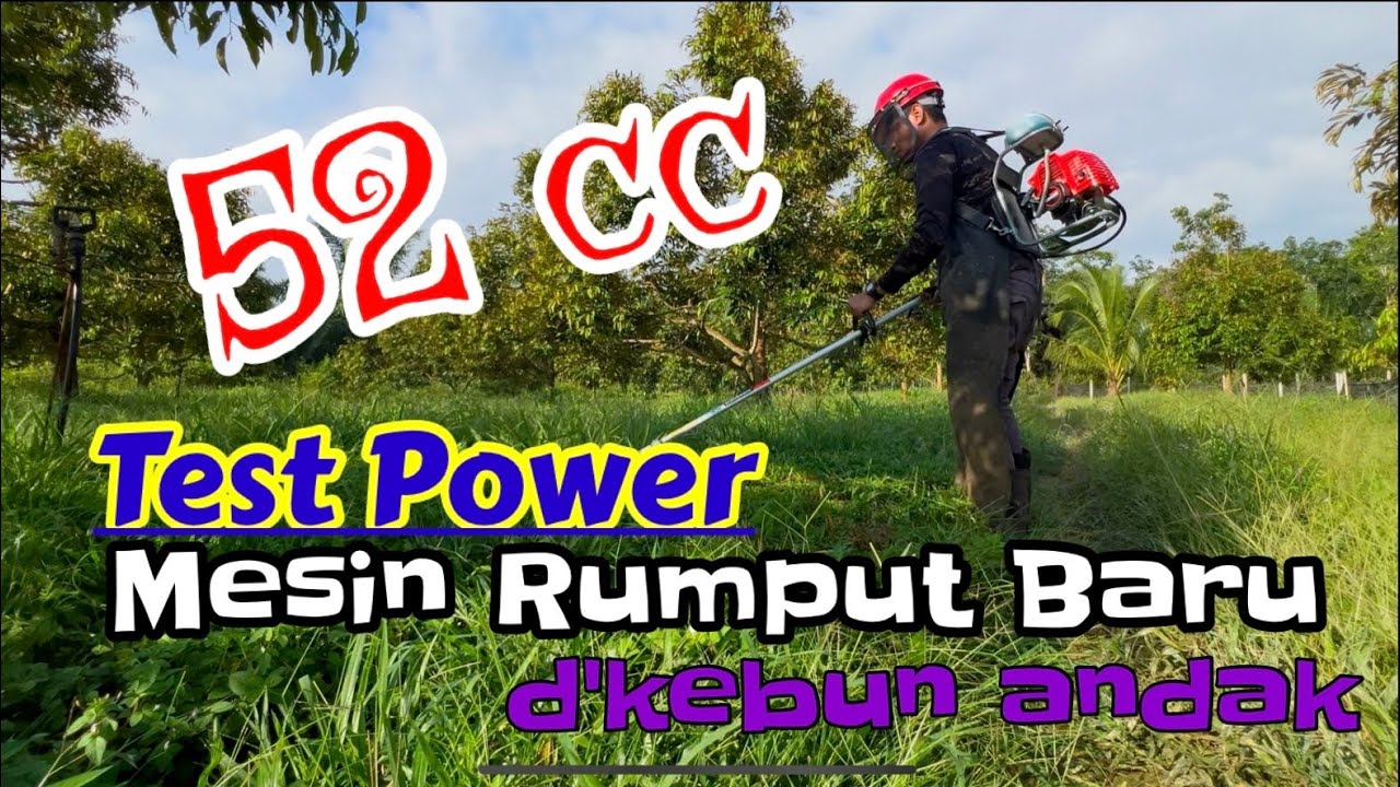 Terbukti padu dan laju.. Review mesin  rumput 52cc di kebun andak.