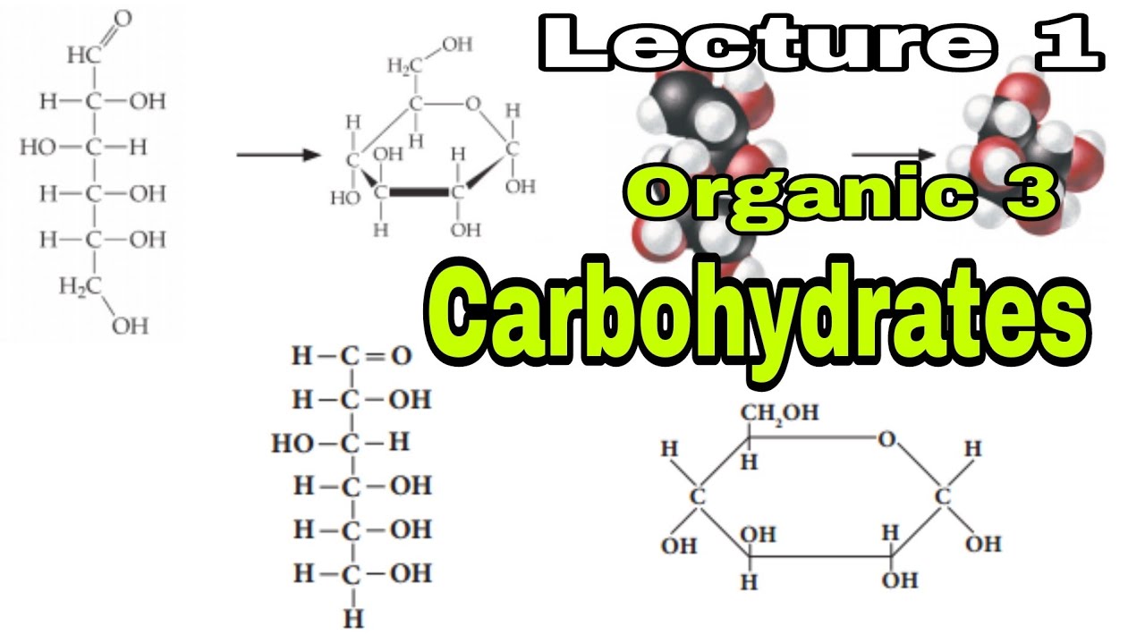 lecture 1 (Carbohydrates)| organic 3